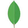 MongoDB